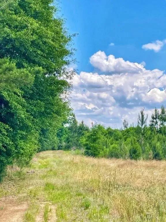 Highway 49 S