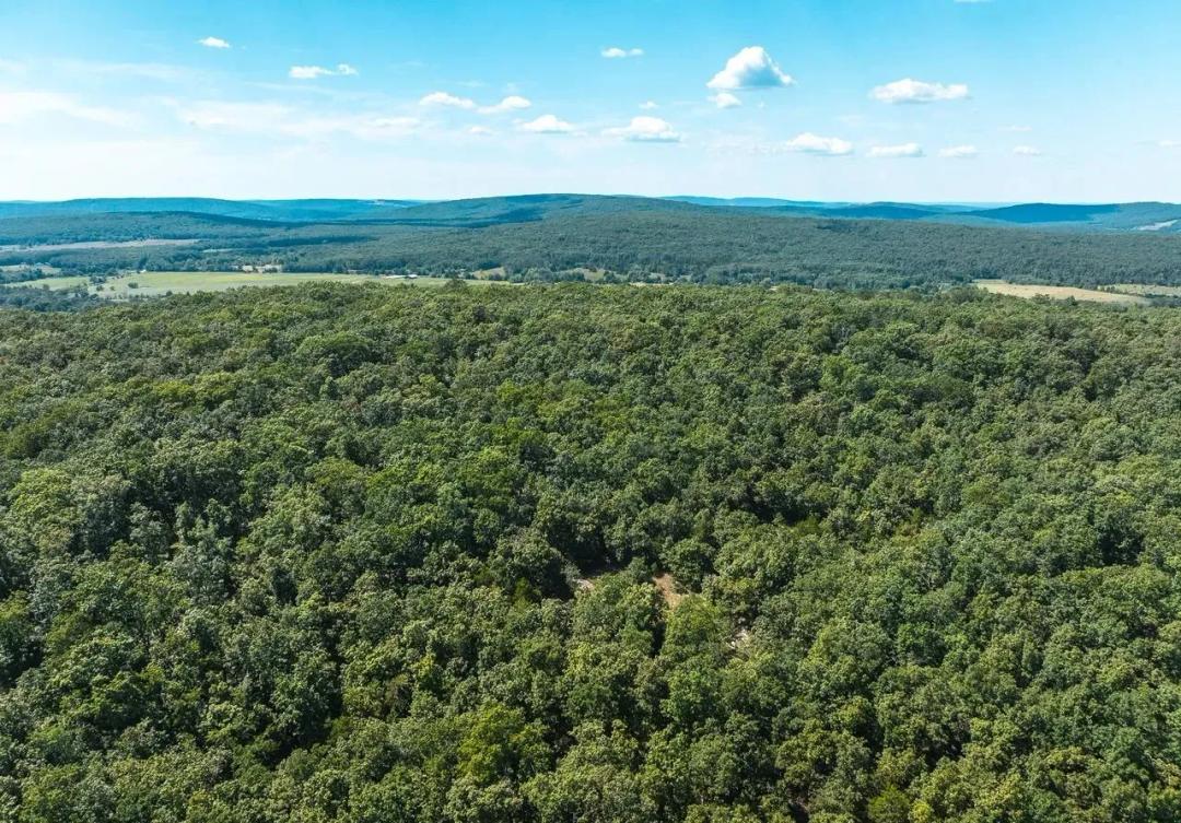 Buck Mountain Road Tract 6