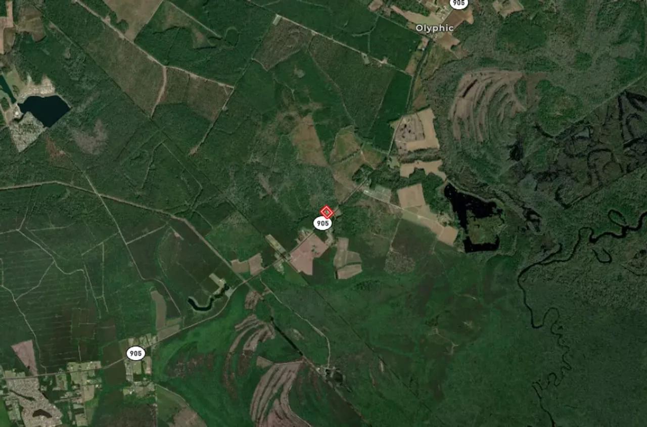 43499279-61