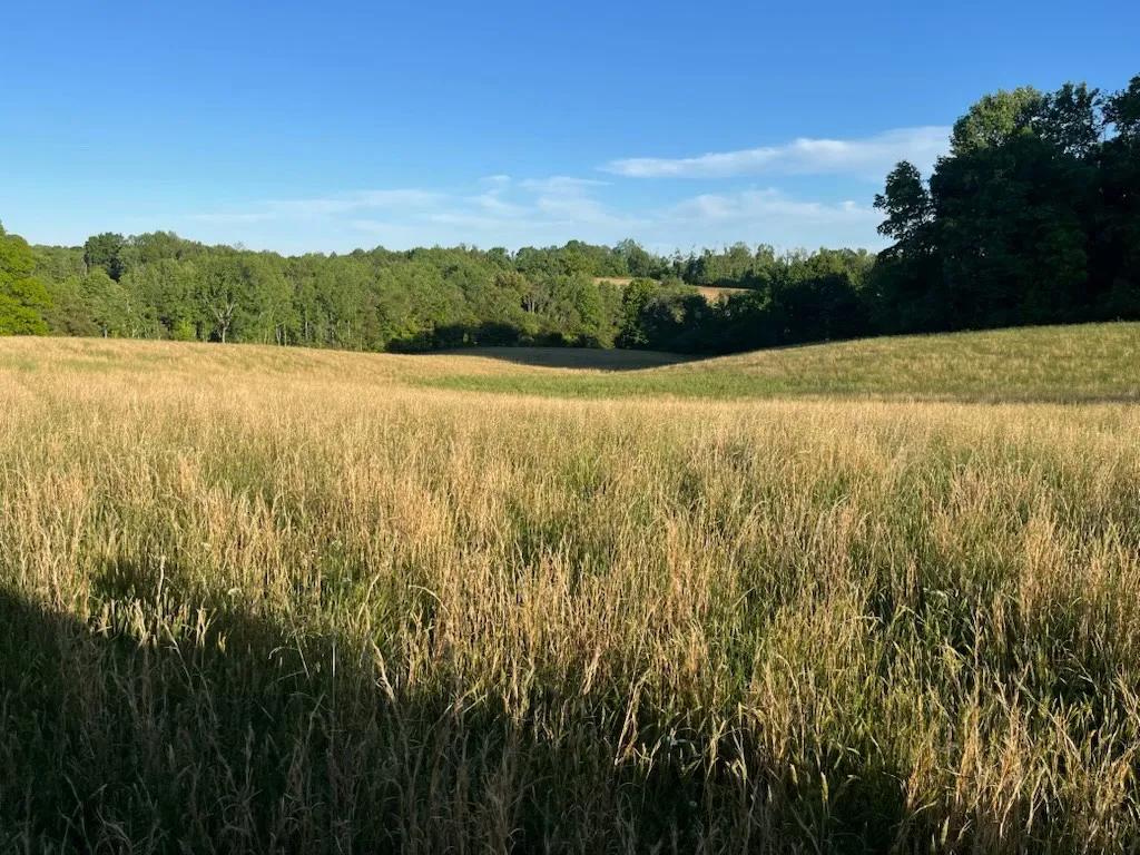 For Sale Mini Farm Located in Edmonton KY