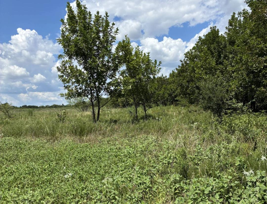 Four One Acre Lots Near Caddo, Oklahoma