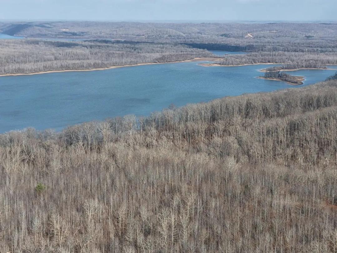 136.94 Acres in Benton County, TN 
