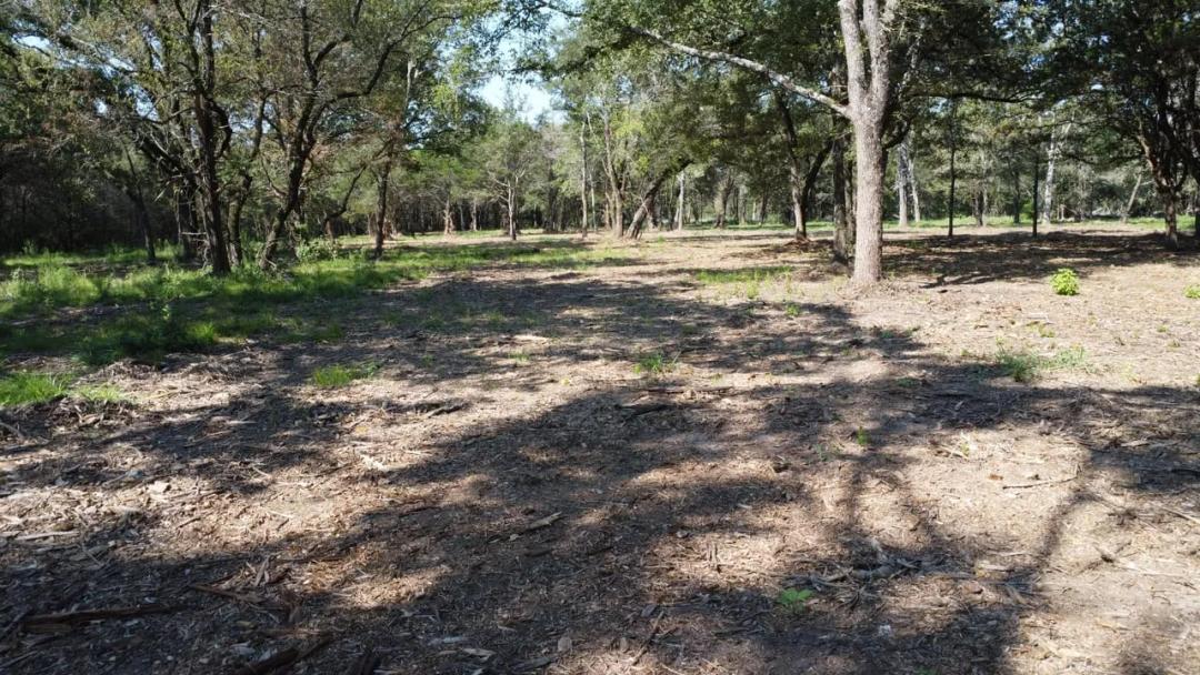 15 Acres in Groesbeck, TX