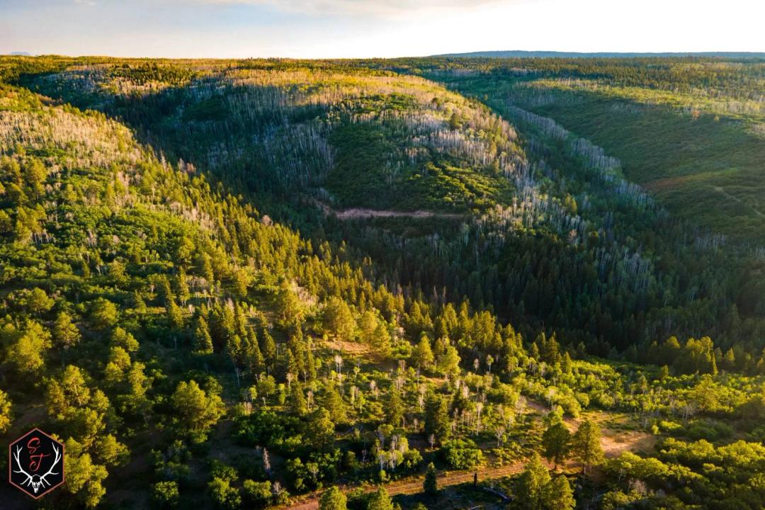 Happy Canyon Ranch