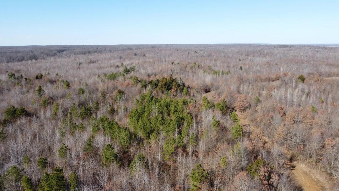 24.14 Acres at 0 SFC 744