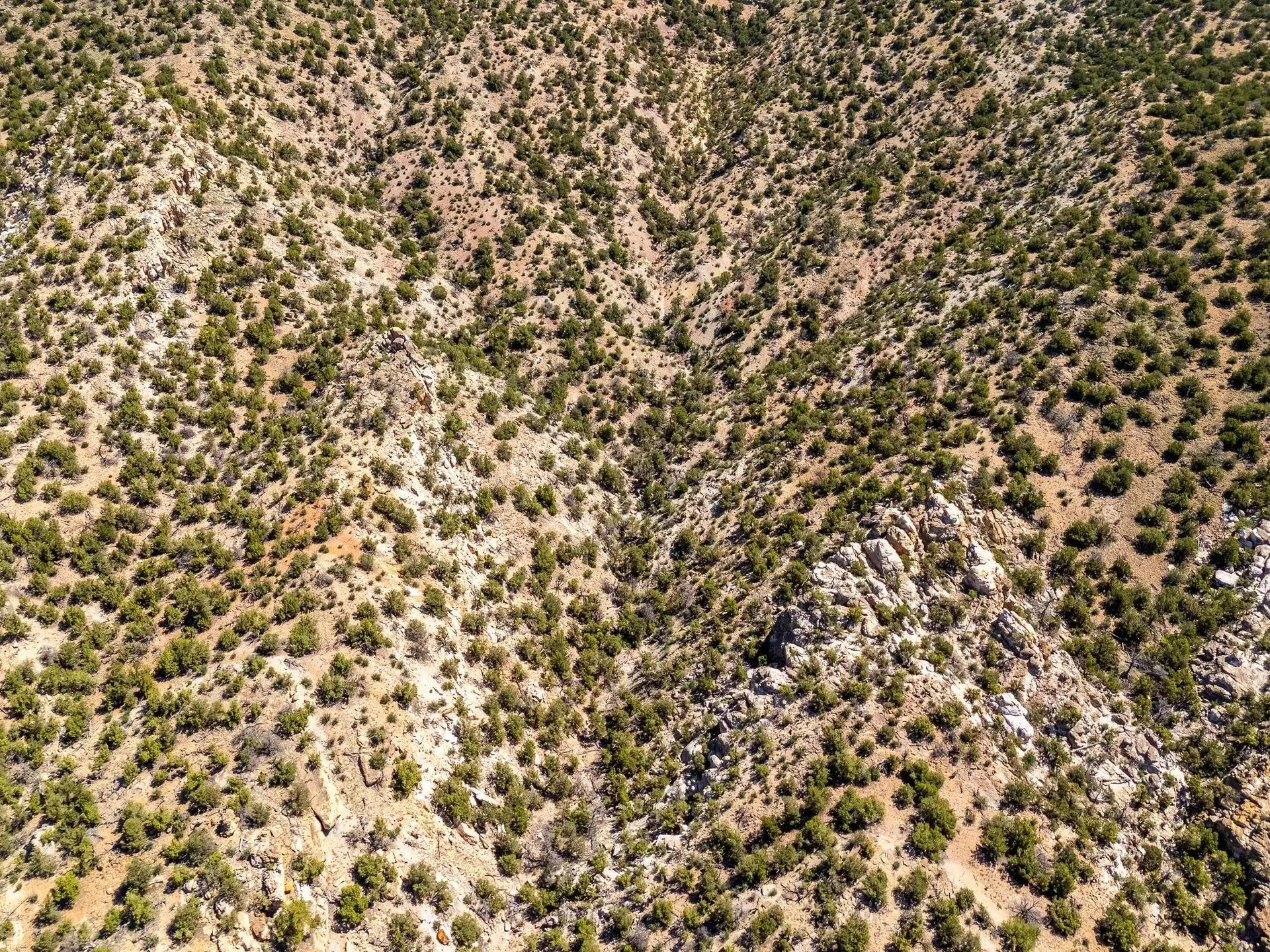 43687963-2