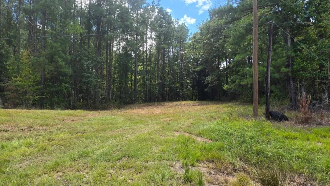 1+/- Acre Near the Homochitto National Forest in Franklin County, MS