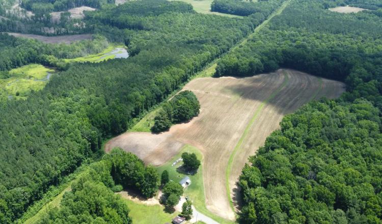 Versatile 41 Acres Close to Momeyer & Raleigh