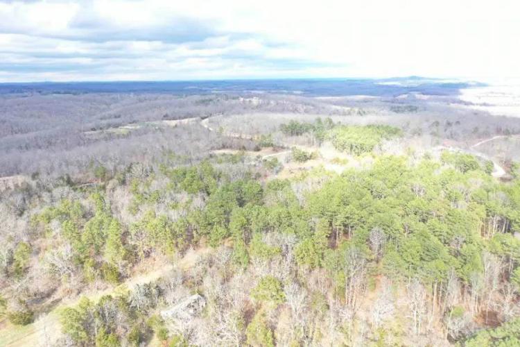 51+/- Acre Hunting and Recreation Tract