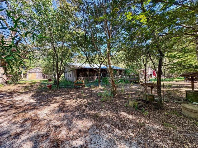 29.68 +/- Acres Lovelady, TX