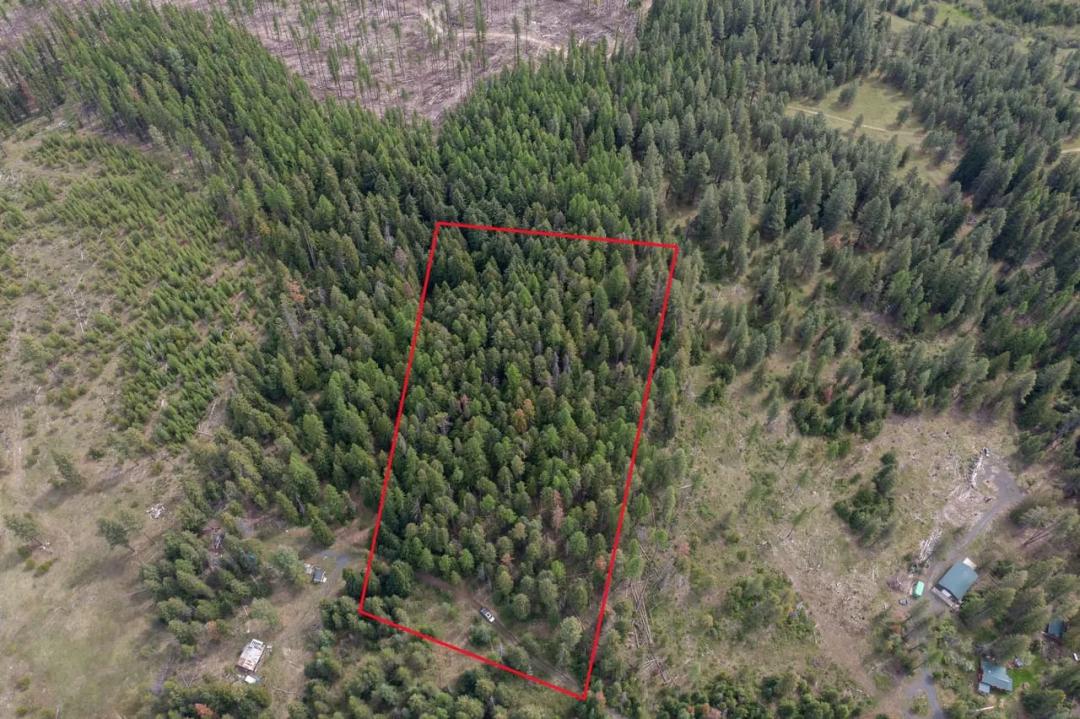 Escape the Noise & Own the Wilderness Where State Land Becomes Your Backyard.