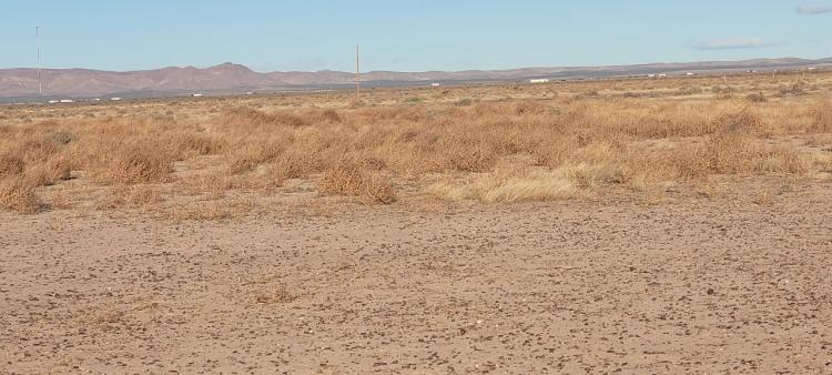Sunny New Mexico 1 acre & up Homesites starting at $2500