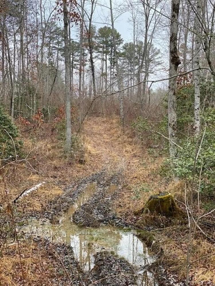5+/-acres Unrestricted near Salvage Gulf State Park