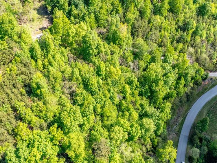 1.5 Acre Lot with Norris Lake & Mountain Views