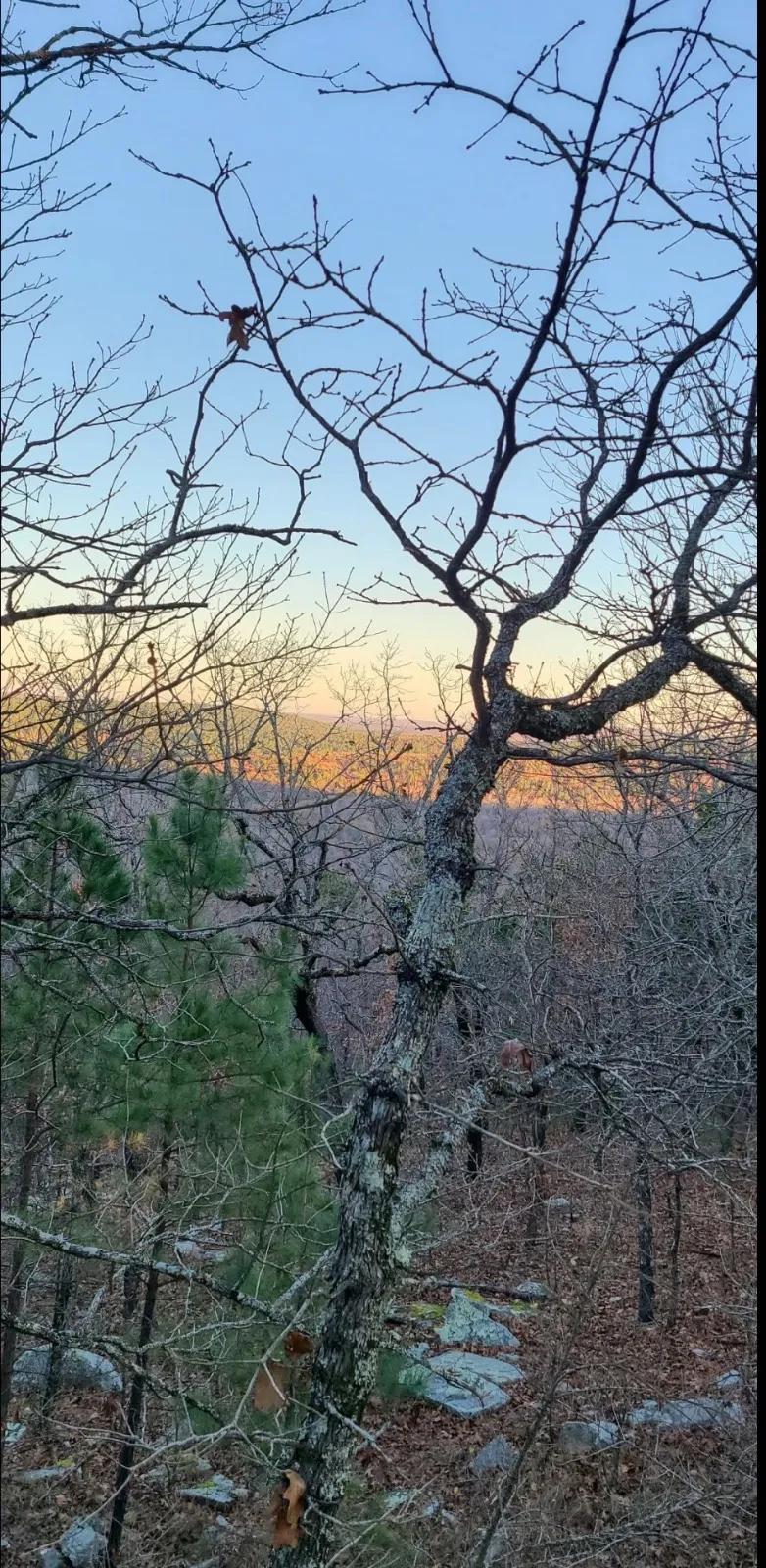 10.70 Acres at 0 True Grit Trail