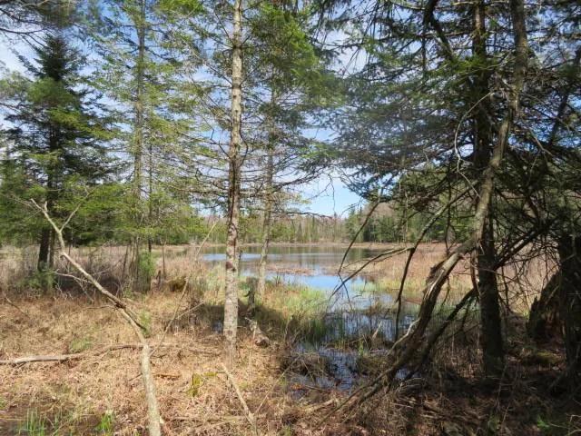 ADIRONDACK WATERFRONT &amp;quot;OLD FORGE REGION&amp;quot;