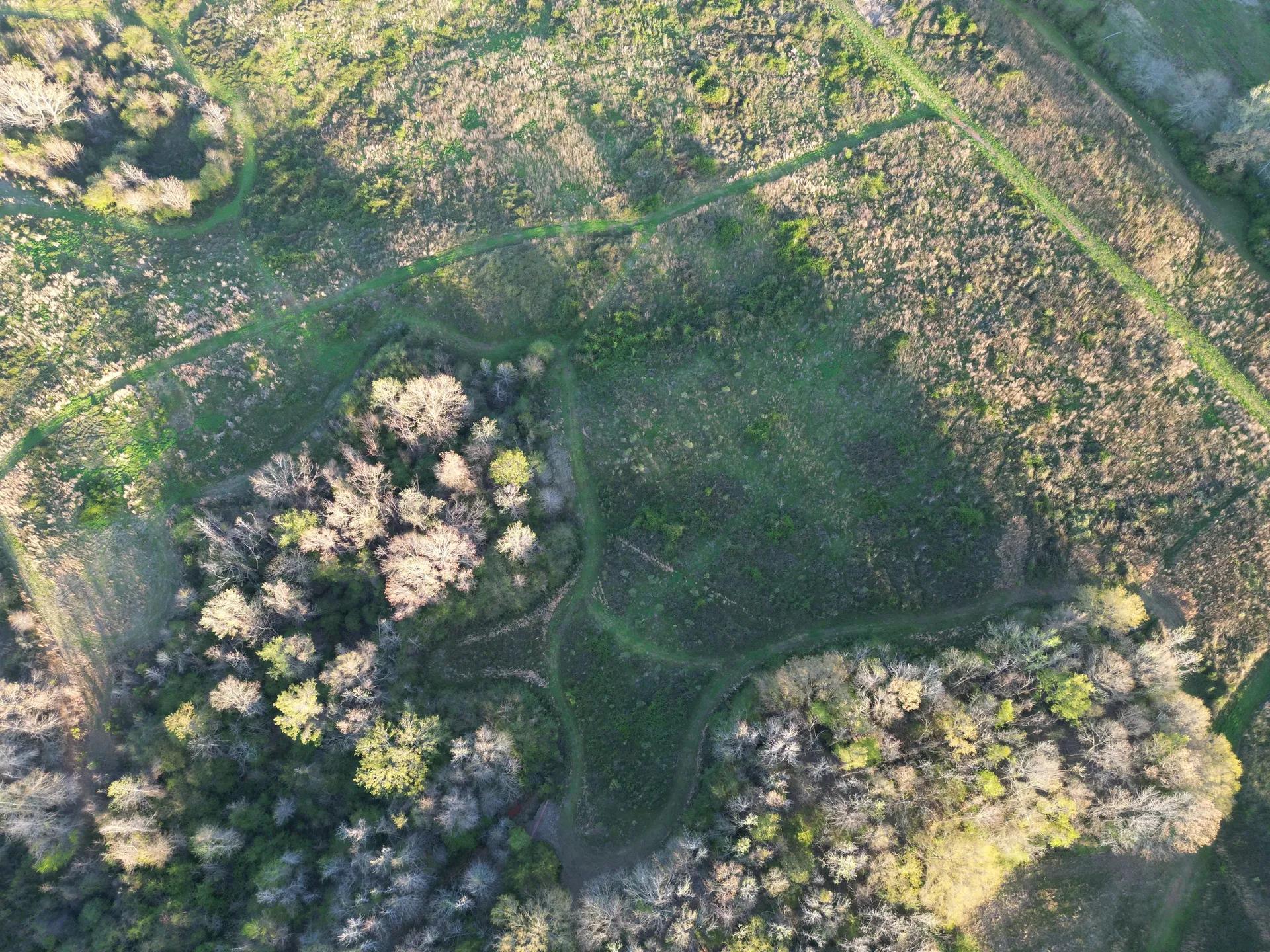 43911113-6