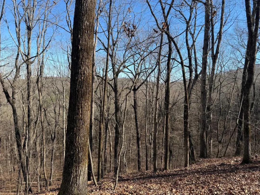 AN ESTATE LOT WITH MOUNTAIN VIEW