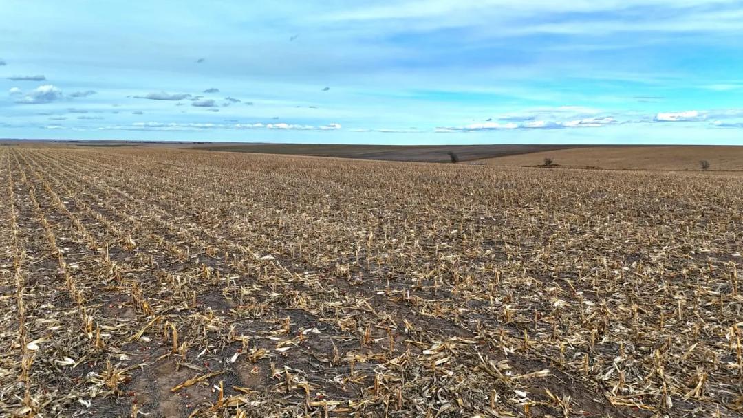 Tillable Cropland Parcel on Colorado/Kansas Border with a Wind Development Option