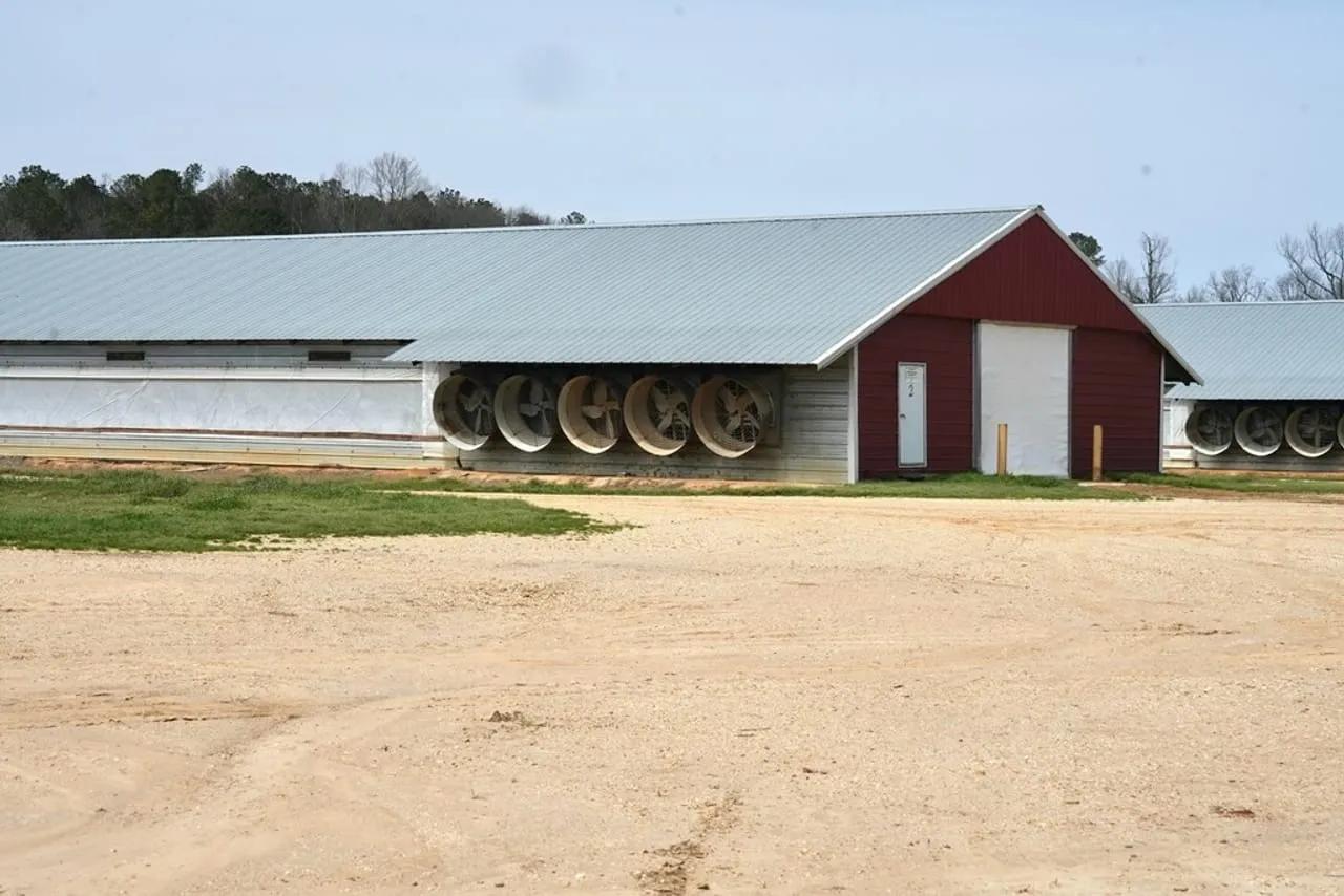 43963951-3