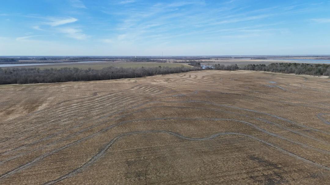 214.00 Acres at 0 Hwy 39, Tract 4