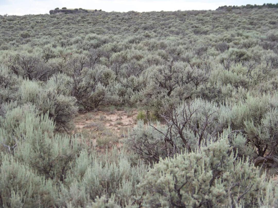 almost 9 acres Mesa Hills on Black Mesa wide open spaces