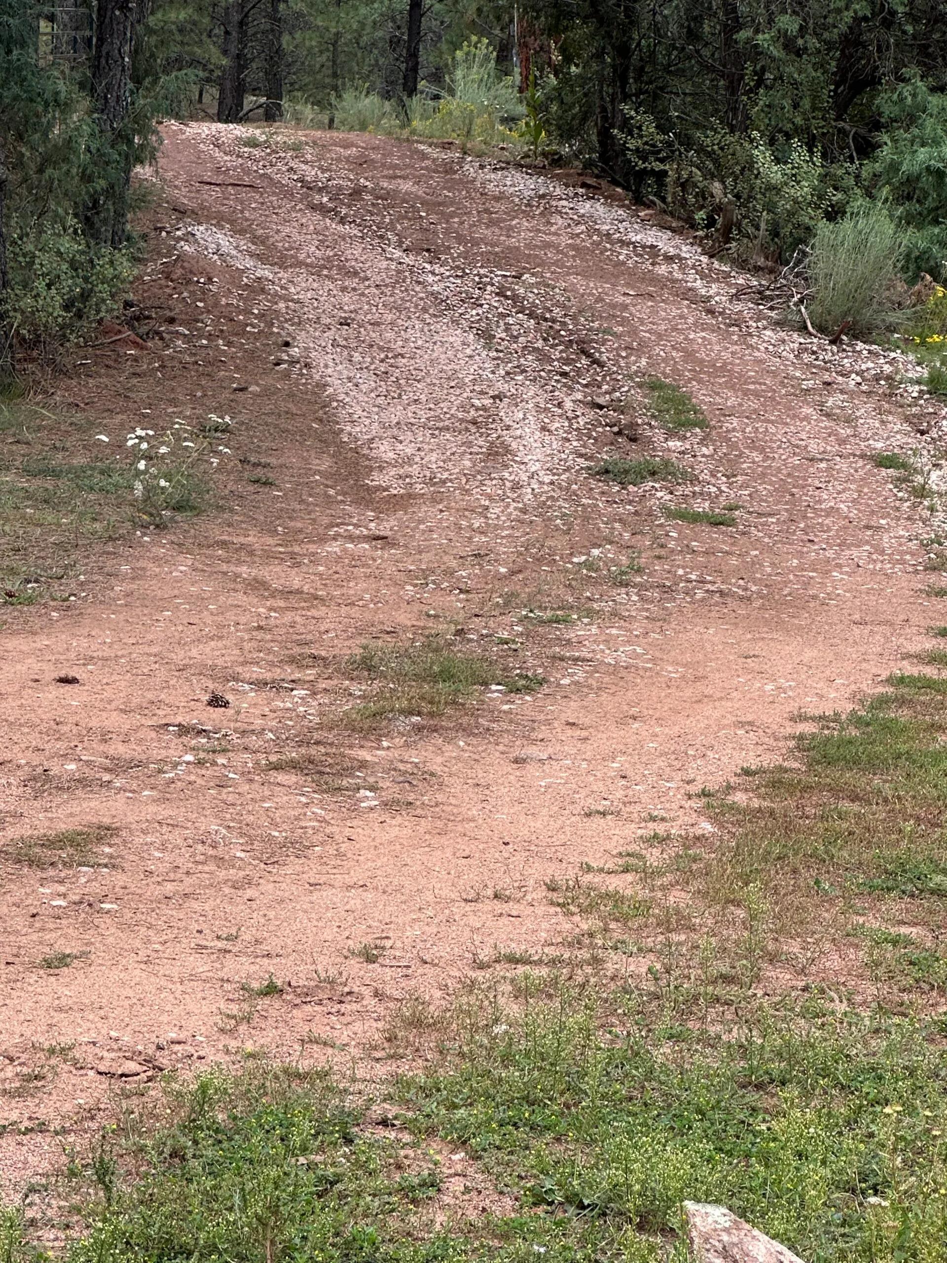 44018388-4