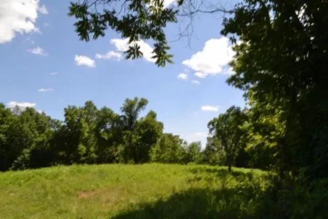 25 Acres of Land for Sale in Celina, Tennessee