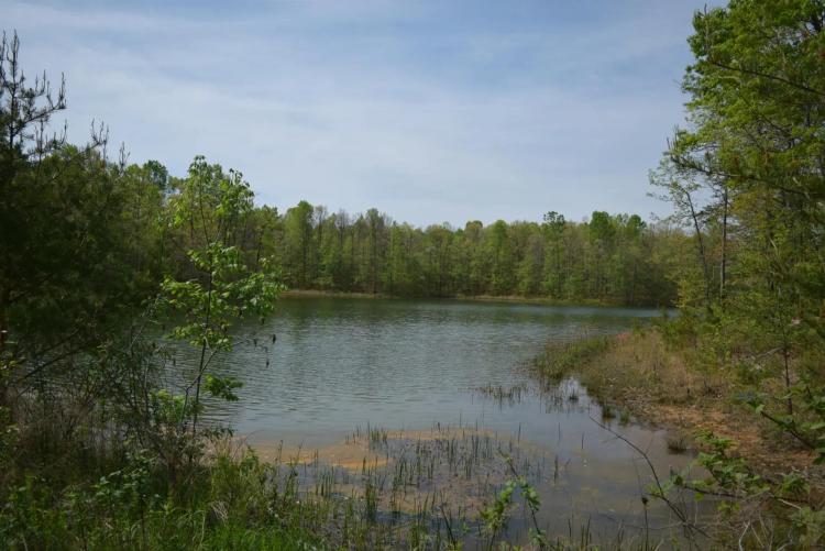 2364726 Piney Creek, Altamont