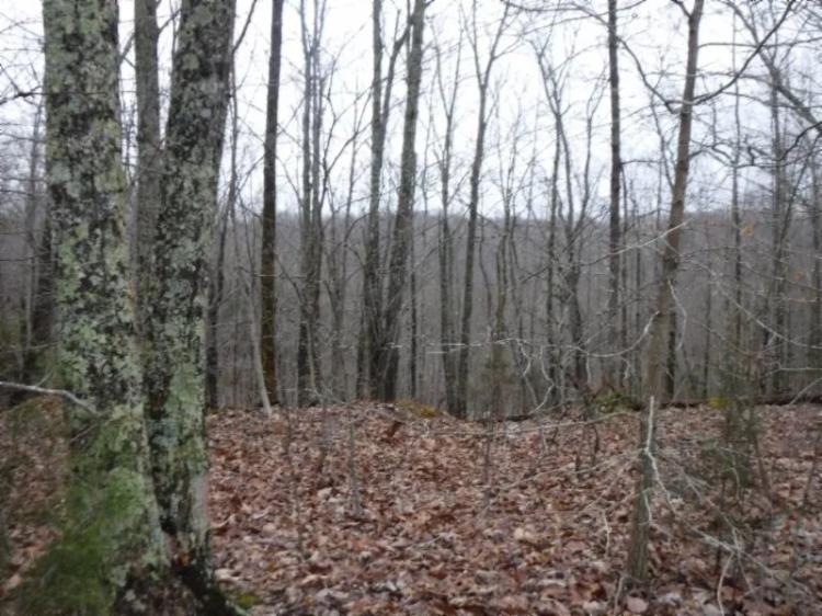 5.05 AC W/ MTN VIEWS IN A PRIVATE SECLUDED COUNTRY LOCATION 