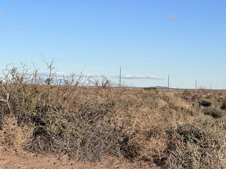 3 adjoining Lots - 1.5 acre New Mexico Homesite
