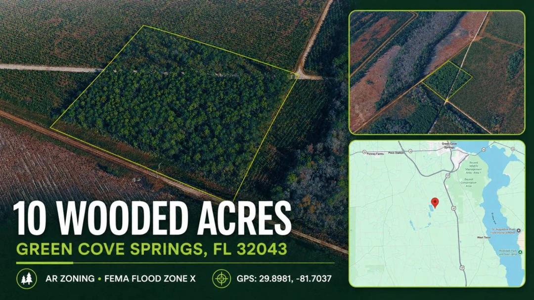 10 Wooded Acres Near Green Cove Springs in Flood Zone X
