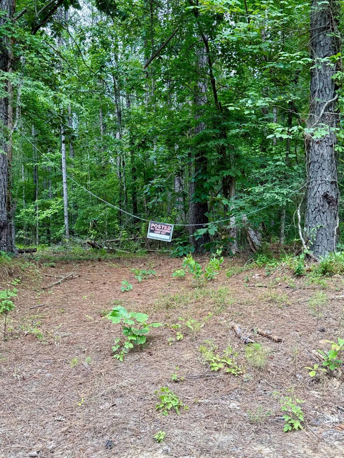 44113966-20