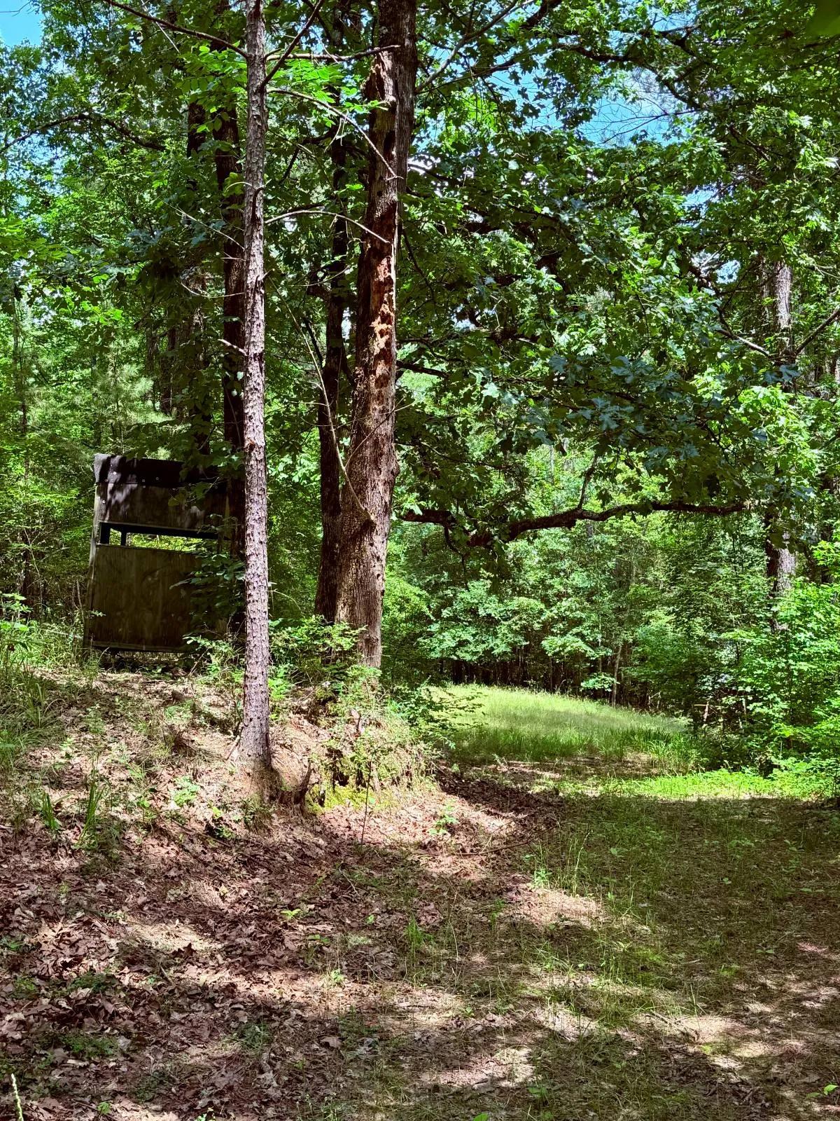 44113966-9