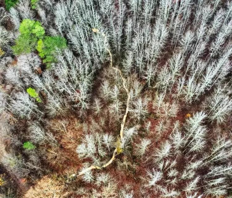 One Equity Share on 940 Acres at Long Creek Plantation in Tallahatchie and Grenada County in Grenada, MS