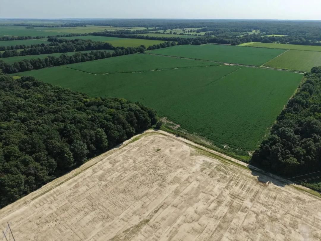 Arkansas Land Auction - Craighead County