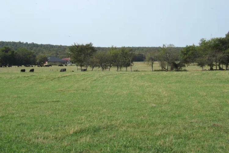 Rouse Road Ranch 405 Acres