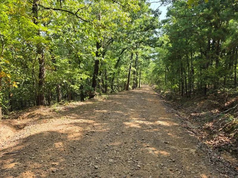 Walker Mountain Land &amp; Cabin Site Adjoining National Forest