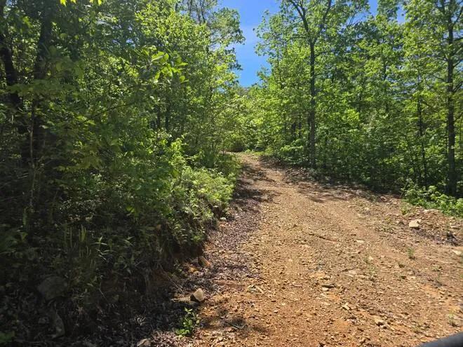 37.92 ACRES WITH CREEK IN THE MOUNTAINS OF SOUTHEAST OK FOR SALE
