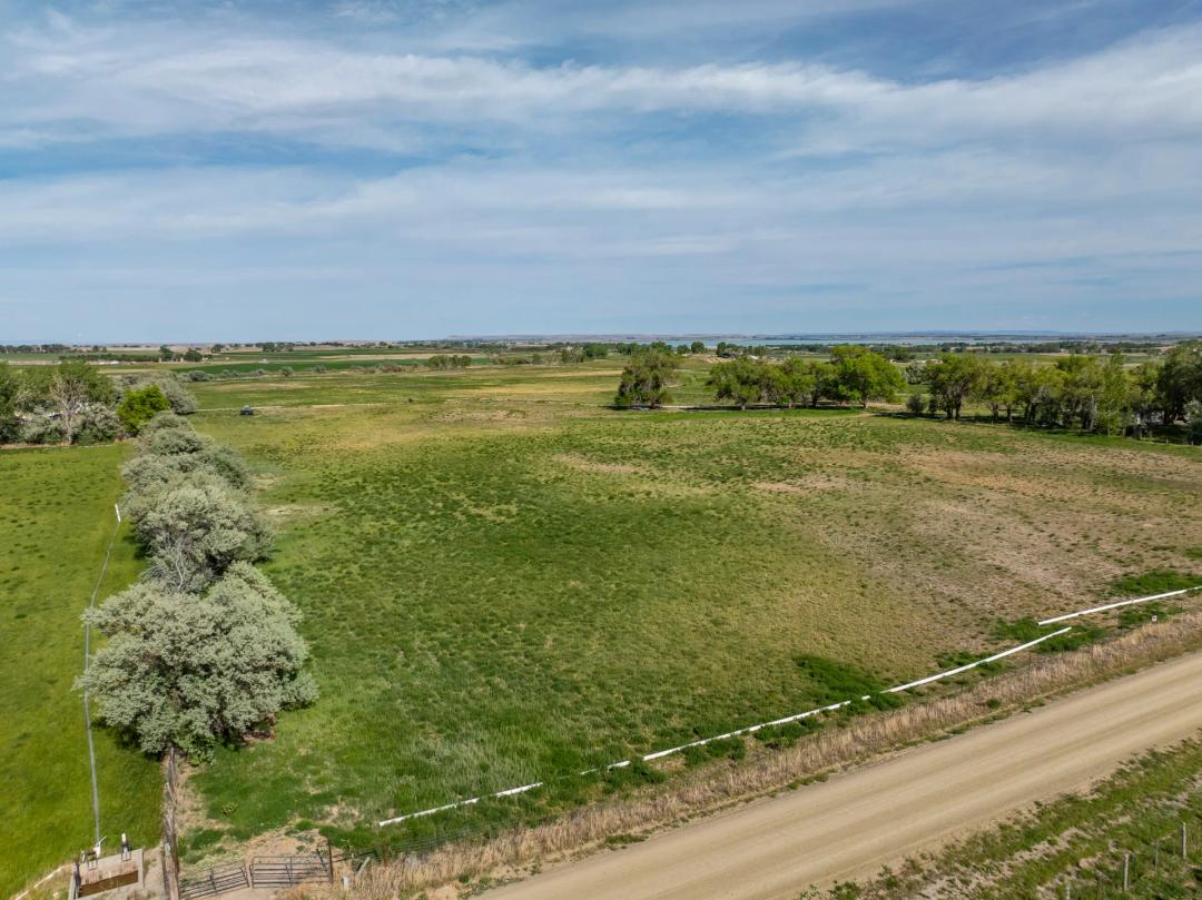 White Acres