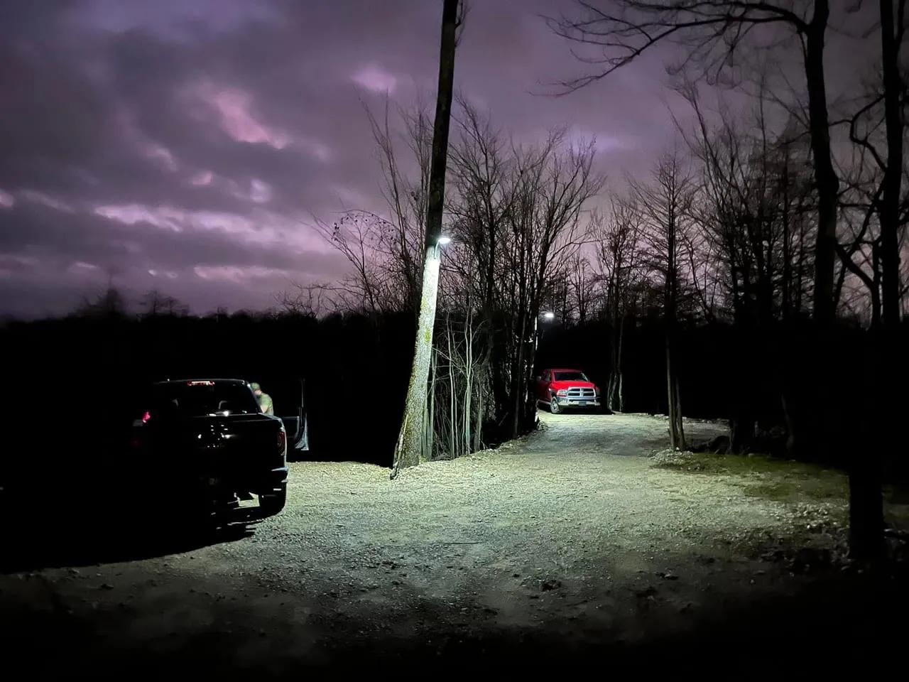 44350121-81