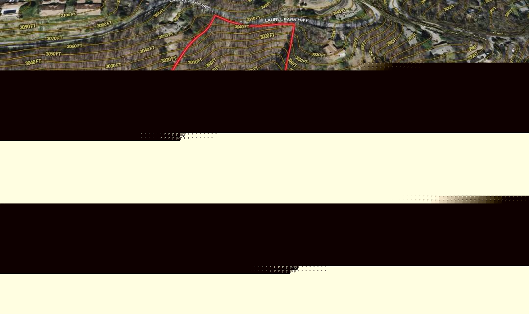 8+ Acres in upper Laurel Park. Long range view