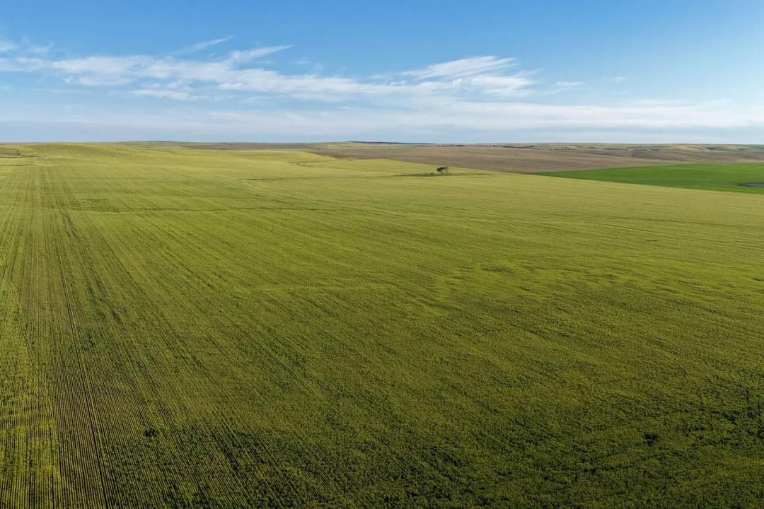 Stanley County, 309.8 Acres