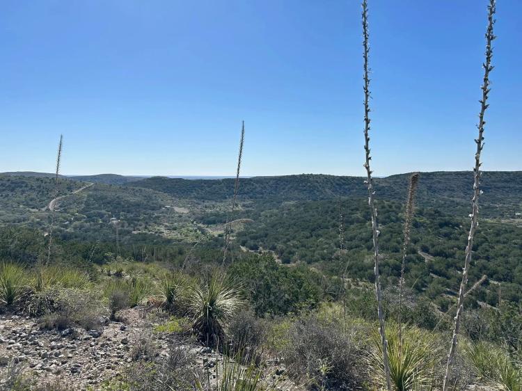 Rzeka Ranch