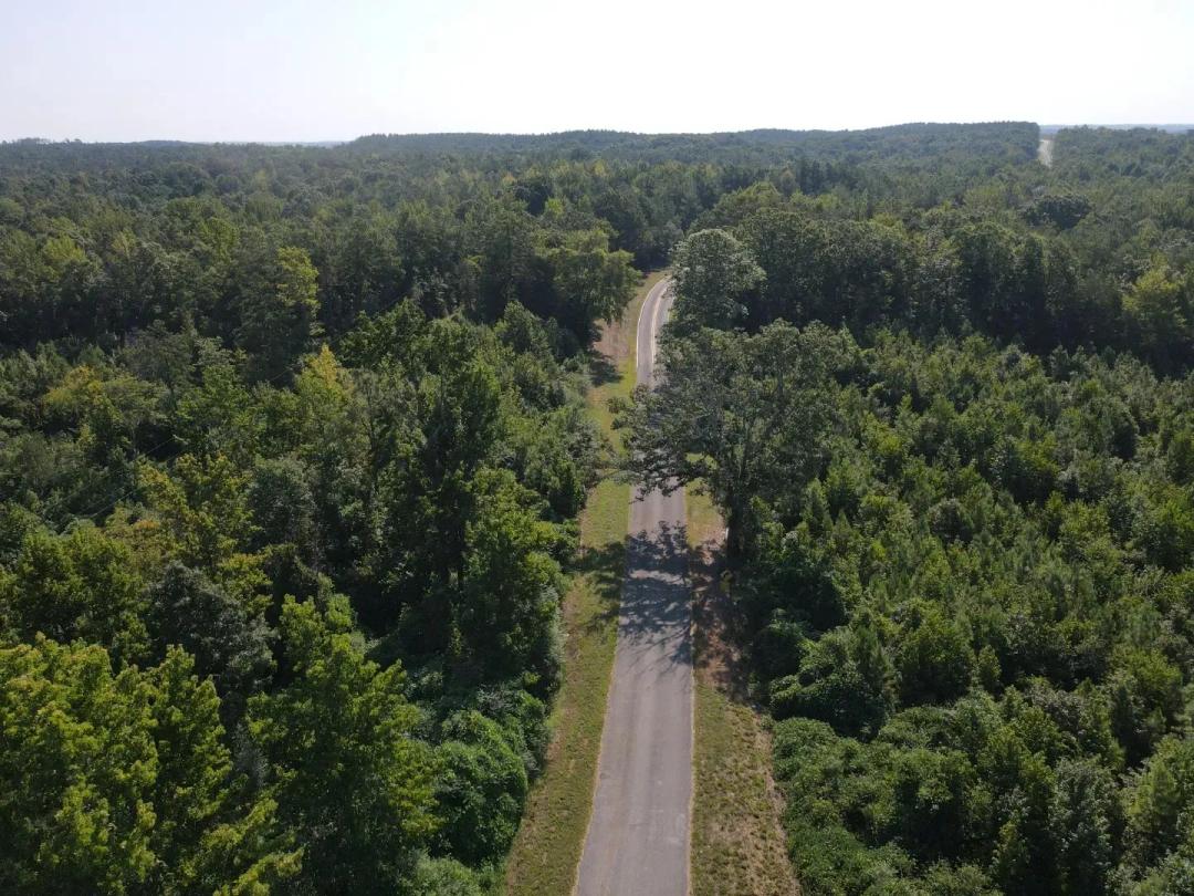 163 Acres in Yalobusha County, MS 
