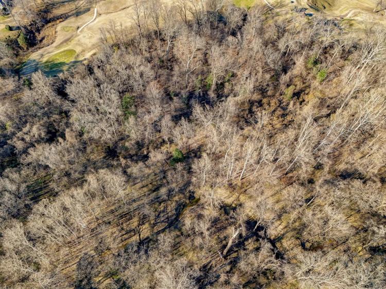 10 Acres in Warren County, MS 