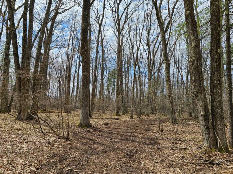 8 Acre Getaway in Marinette County
