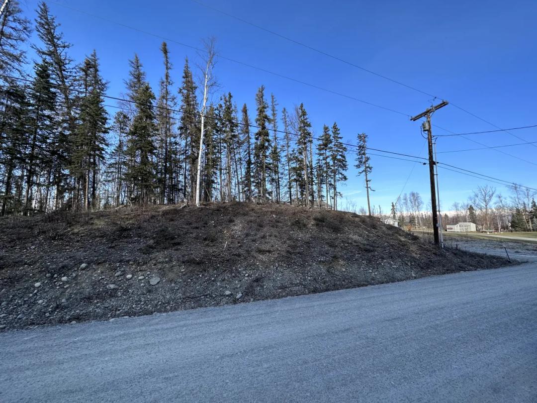Residential Treed Parcel - Western Outskirts Wasilla Alaska - Backs to Open Space