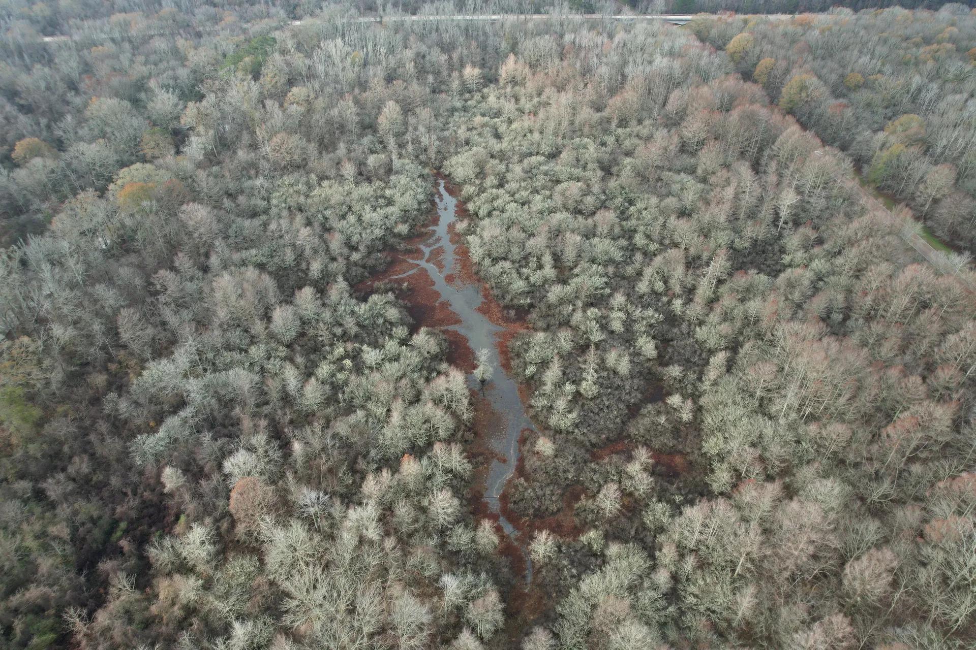 44492936-3