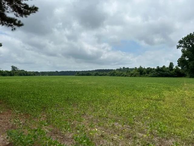 103.47 Acres at 428 0 Long Branch Rd